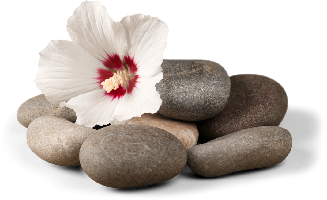 Pebbles with Flower